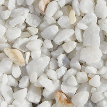 Monster - Crystal Split White